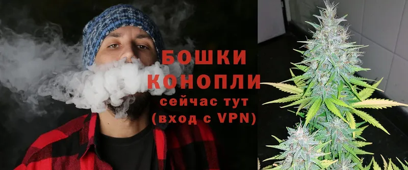 Конопля White Widow  OMG как войти  Чехов 